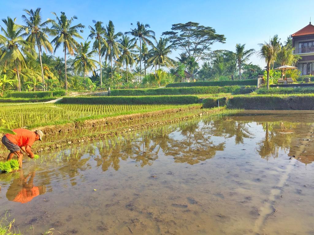 The Suris Ubud المظهر الخارجي الصورة